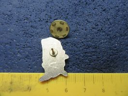 USA PIN GLASIERT