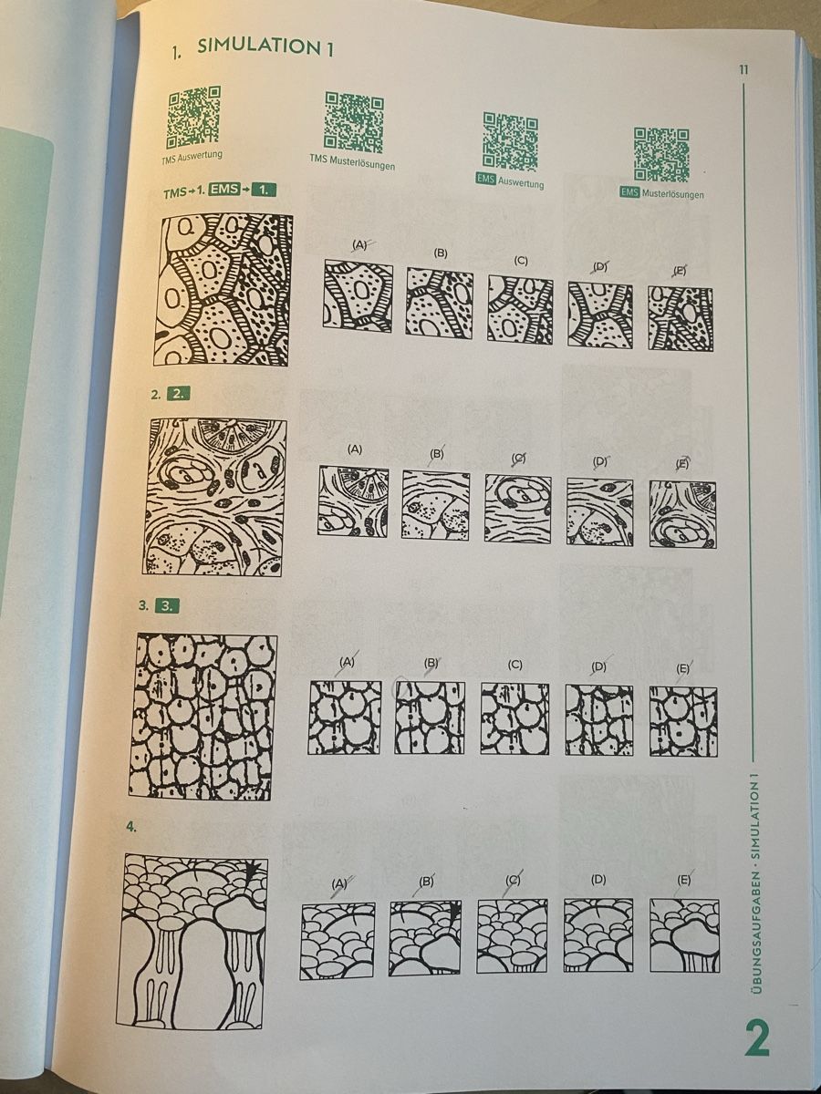 Libri: TMS/EMS Muster zuordnen Übungsbuch – Nuovo (secondo la descrizione) da Jonen venduto da ._Leonie_. 1