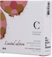 Couleur Caramel Poudre Mosaïque 2 in 1 Nr 230