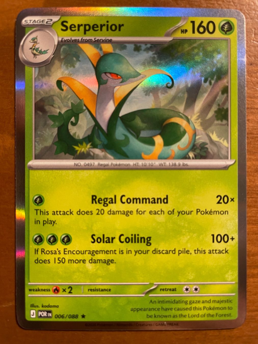Pokémon Carte collezionabili: Pokemon Serperior Holo (Versand gratis) – Nuovo (secondo la descrizione) da Chur venduto da Angerson