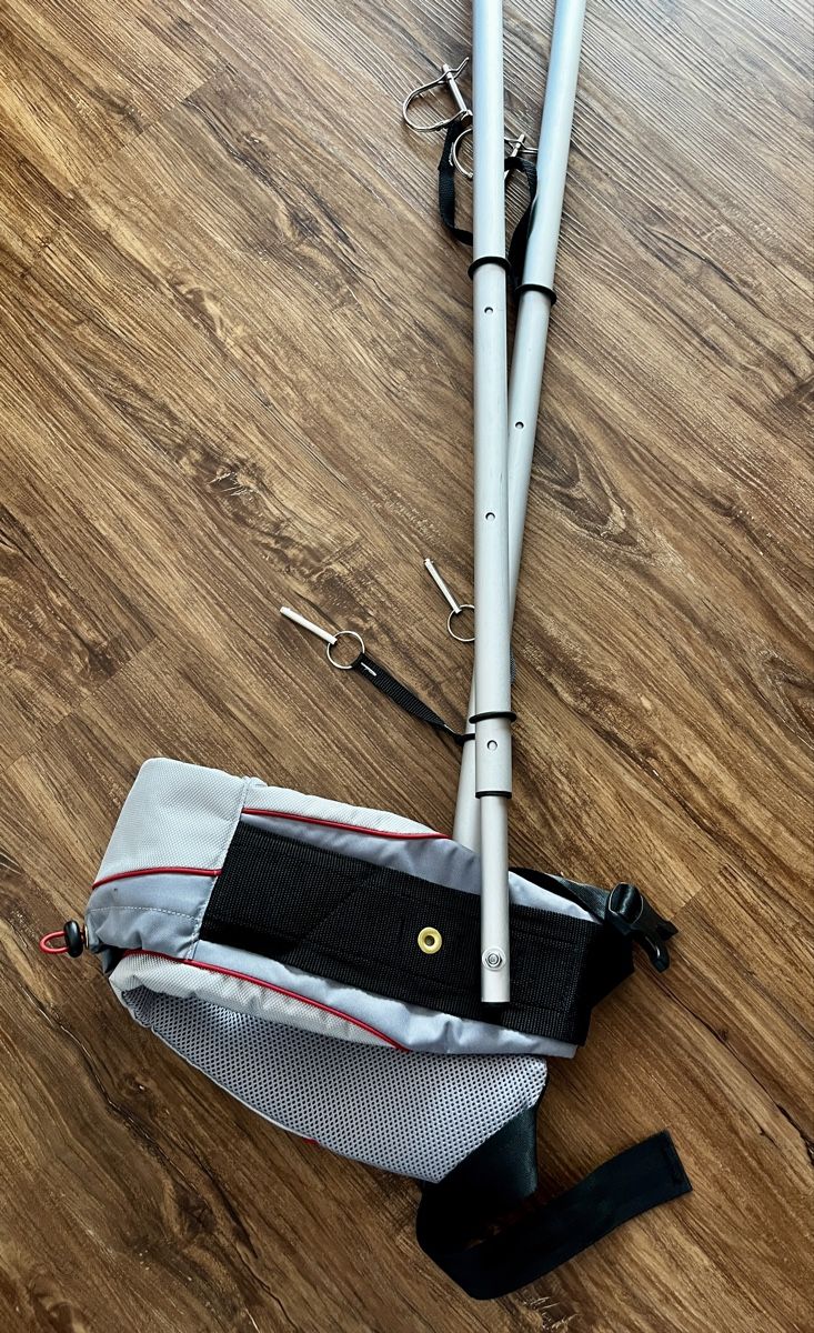 Thule Rimorchi: Thule Chariot Ski Set – Usato da Stallikon venduto da goodmorning09 8