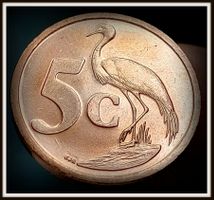 SÜDAFRIKA 5 CENT 2001 UNZ.
