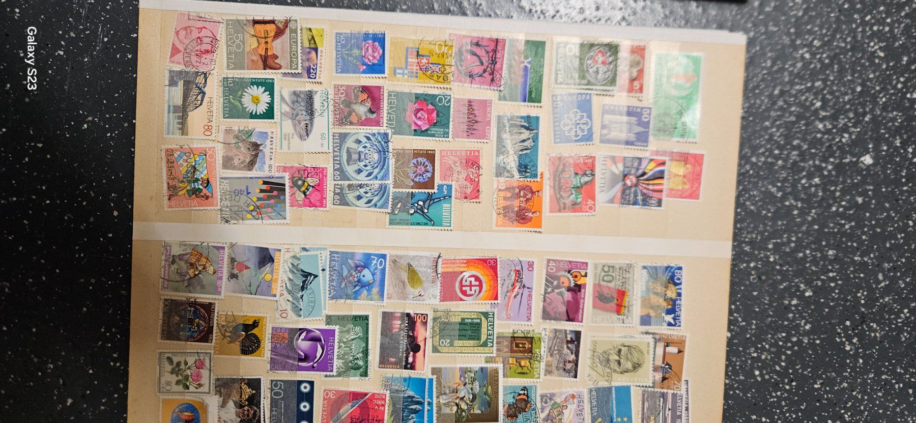 Tutti i francobolli: Briefmarke kellerfund – Usato da Sirnach venduto da Degida 1