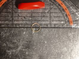 Piercing Ring Continuous. Durchmesser 12mm