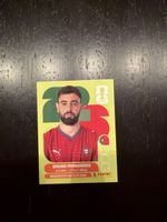 Panini Fernandes