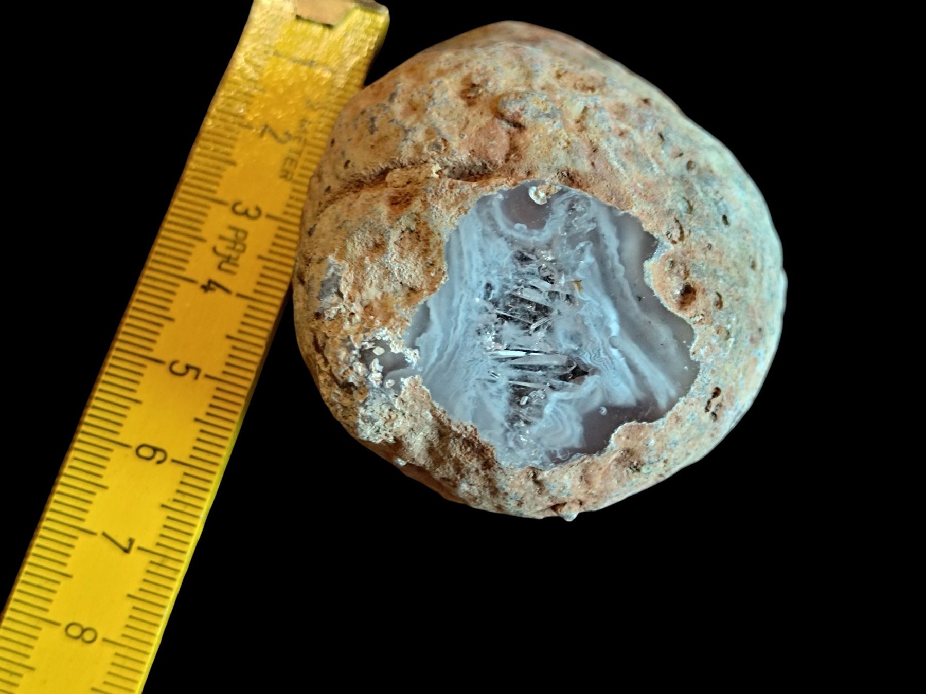 Fossili: Gasteropode silicizzato (Agatizzato) – Nuovo (secondo la descrizione) da Lugano venduto da fbo_82wg 1