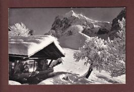 GRINDELWALD - Wetterhorn - 1968