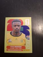 Panini 2026 RSA 11