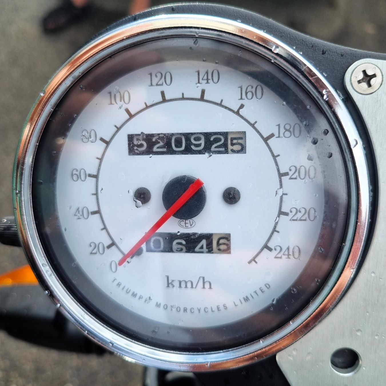 Triumph Strada: Triumph Speed Triple 900 Jg. 1996 – Usato da Aesch BL venduto da Hansi10 3