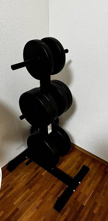 Manubri & Pesi: Home Gym Set – Usato da Frick venduto da mic_7rxr 2