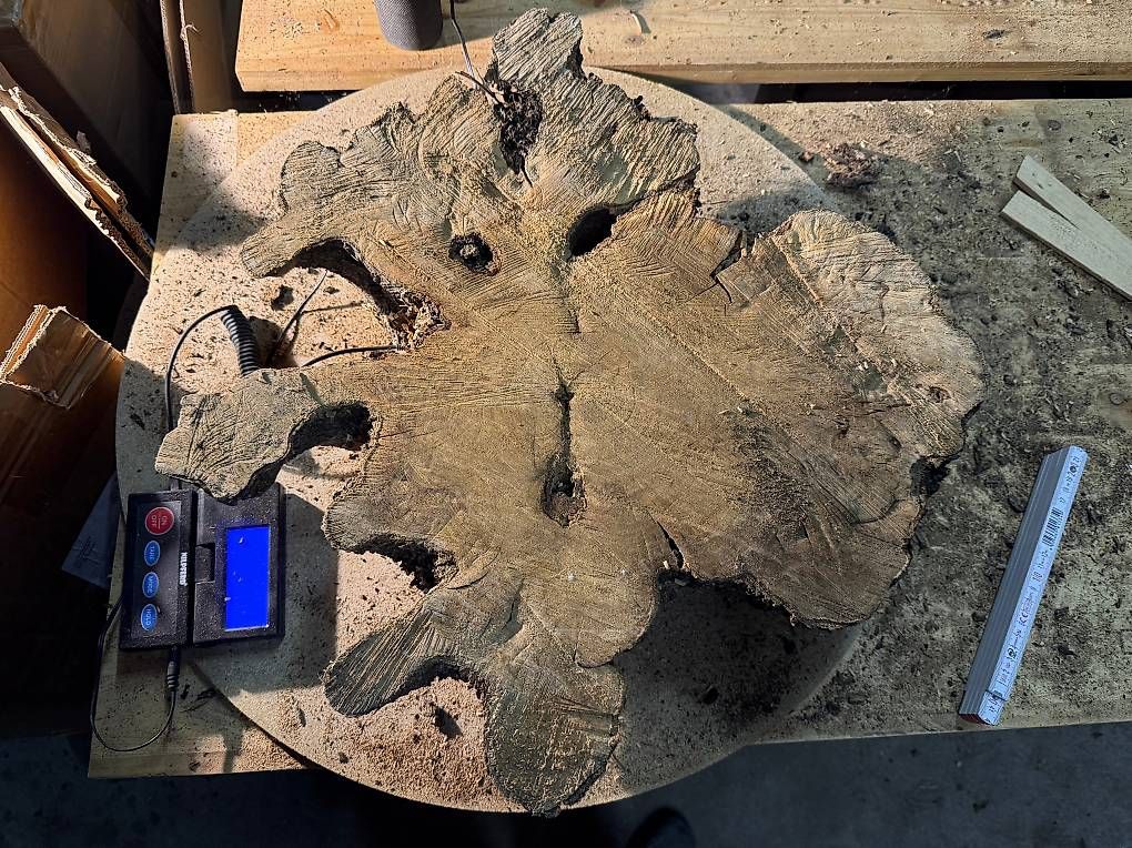 Articoli in legno: Olivenholz Wurzelscheibe W7 – Usato da Buus venduto da macipioji