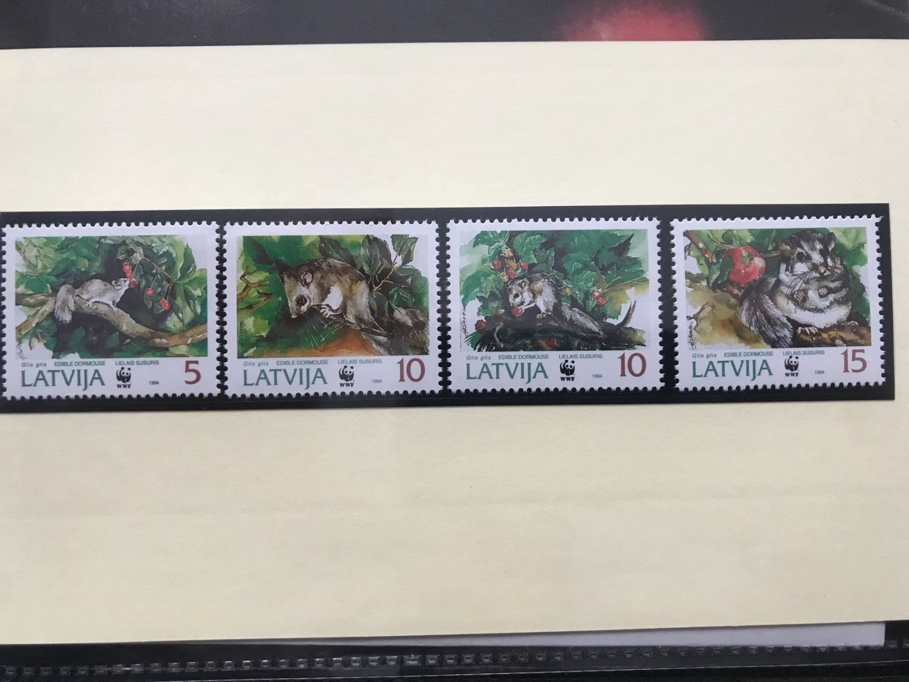 Tutti i francobolli: WWF Lettland 1994 Siebenschläfer Satz postfrisch – Nuovo (secondo la descrizione) da Liestal venduto da schnueps