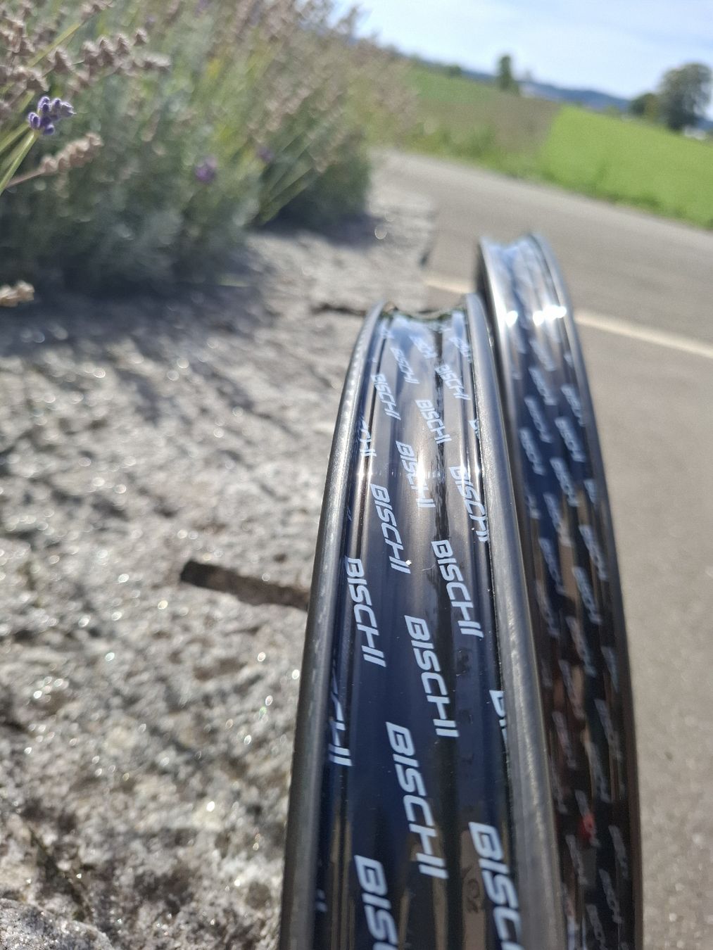 Pneus & Kompletträder: Bikeahead Safe Wing – Neu und originalverpackt aus Suhr von SimonVitzthum 3