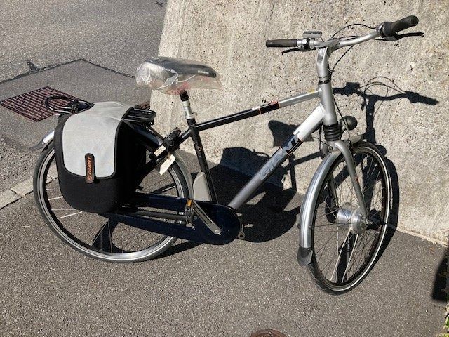 Giant Biciclette: Elektrovelo – Usato da Engelberg venduto da Muettliger