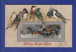 OISEAU - Hirondelles - New Year Wishes