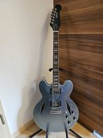 Epiphone Dave Grohl Signature DG-335 