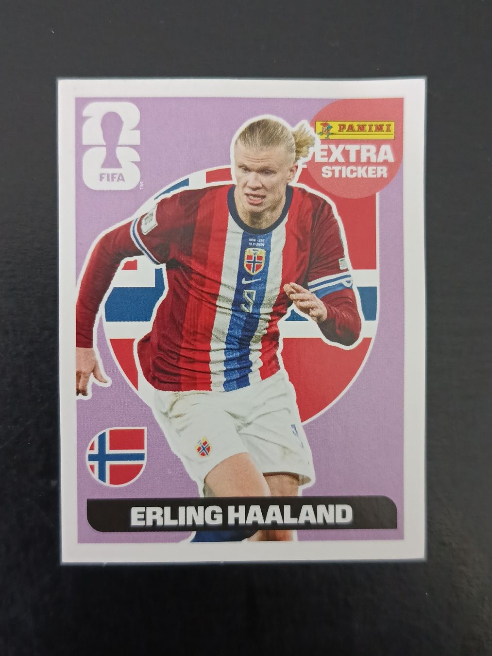 Panini Cartes à collectionner: PANINI Extra Sticker VIOLETT Erling Haaland – Neuf (Voir description) à Aarburg par Osterhas78