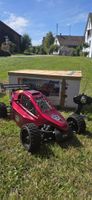 RC Auto Reely Carbon Fighter Massstab 1:6 mit Zubehoer
