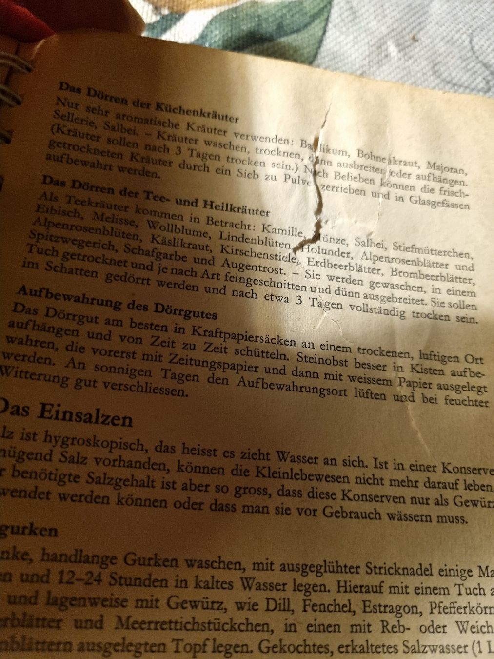 Bücher: Berner Kochbuch gebraucht – Gebraucht aus Ostermundigen von vintage60 4