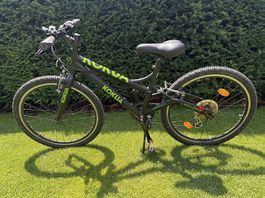 Kokua Like a Bike 24 Zoll