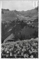Les Avants et Col de Sonloup