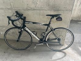 Cervélo Rennvelo Carbon  leicht & schnell (Top Marke)