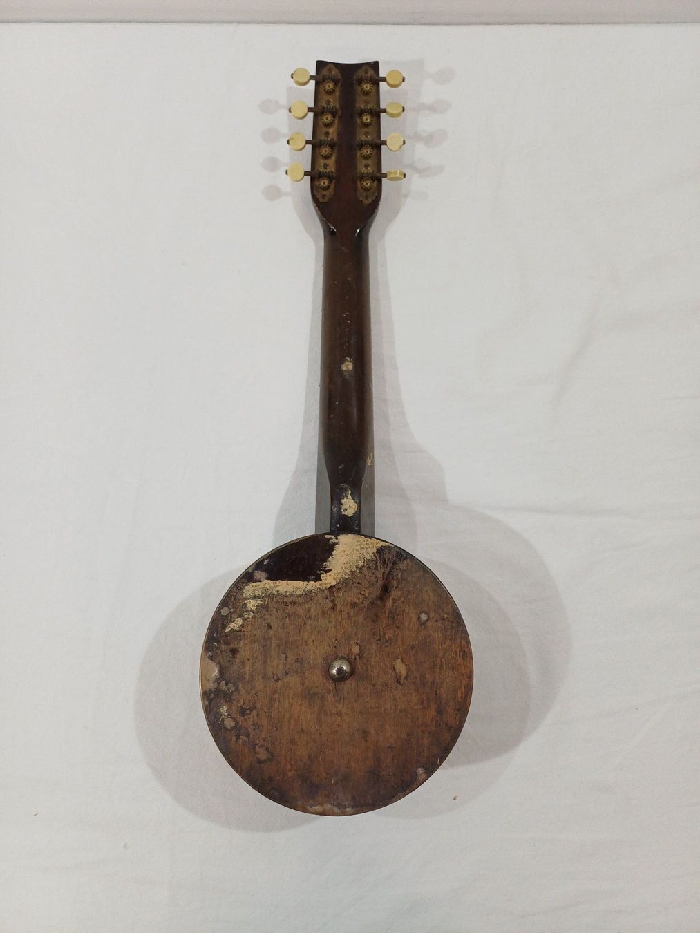 Strumenti musicali: Mandolinenbanjo – Usato da Luzern venduto da IG_Arbeit 2