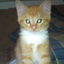 Profile image of Janis22