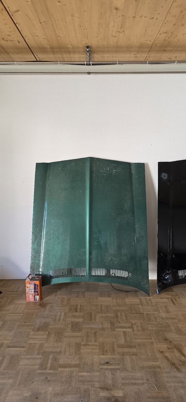 Tutti pezzi di ricambio auto: 70-73 Firebird Motorhaube – Usato da Visp venduto da sir_6vjr