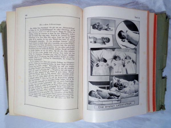Bücher: Dr.Hoppeler's Hausarzt 1927 – Gebraucht aus Bern von Grindelwaldaus 5