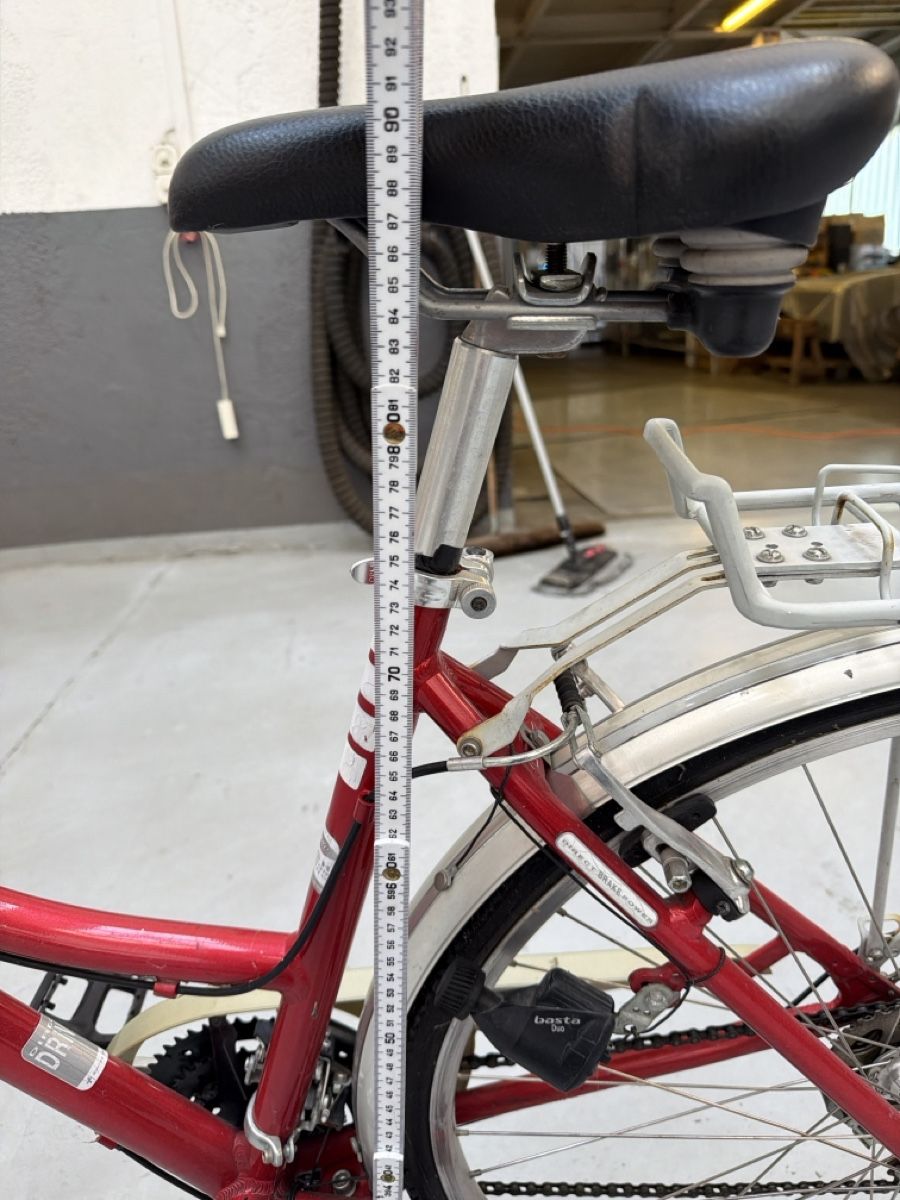 Biciclette: Damenvelo Leopard rot  – Usato da Basel venduto da WOLF_58 1
