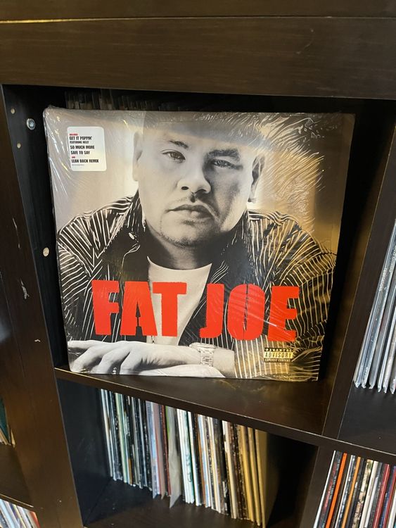 Fat Joe / all or nothing Kaufen auf Ricardo