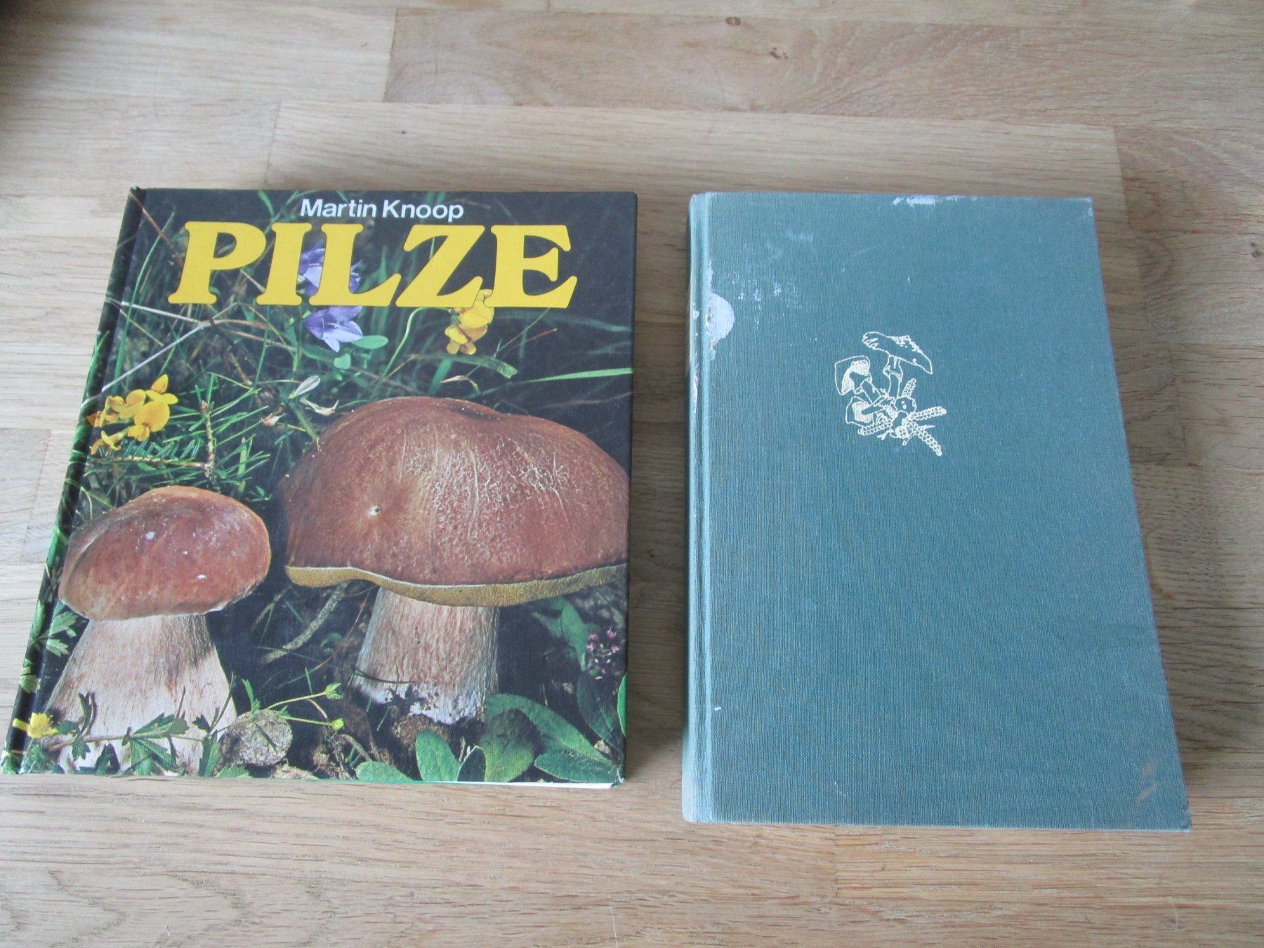 Libri: ab 1.-alte Pilzbücher.. – Usato da Scuol venduto da Luana..