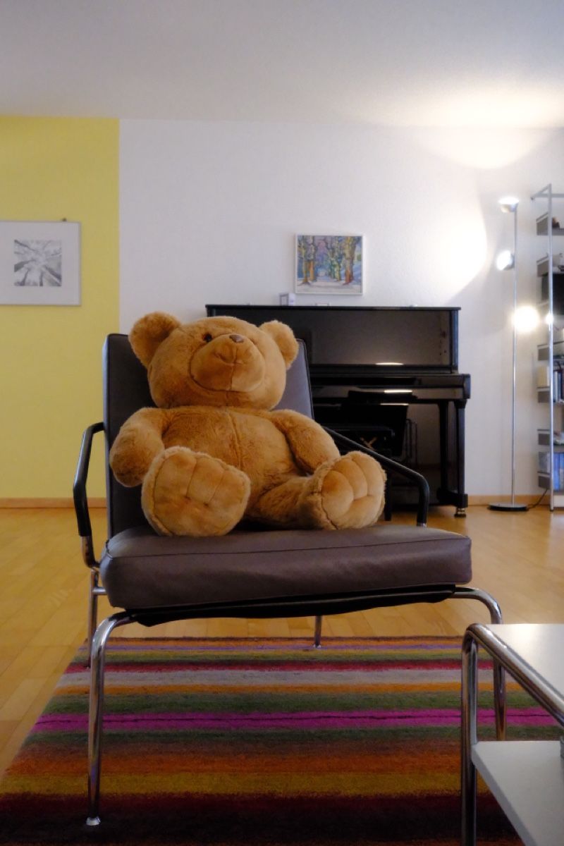 Giocattoli: Grosser Teddybär – Usato da Windisch venduto da YoungJoel 2
