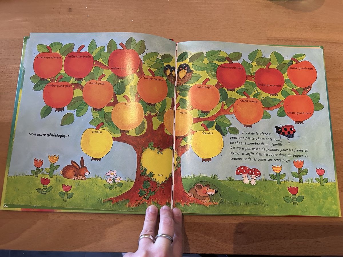 Bücher: Album souvenir de baptême – Neu (gemäss Beschreibung) aus Reconvilier von Panda90 1