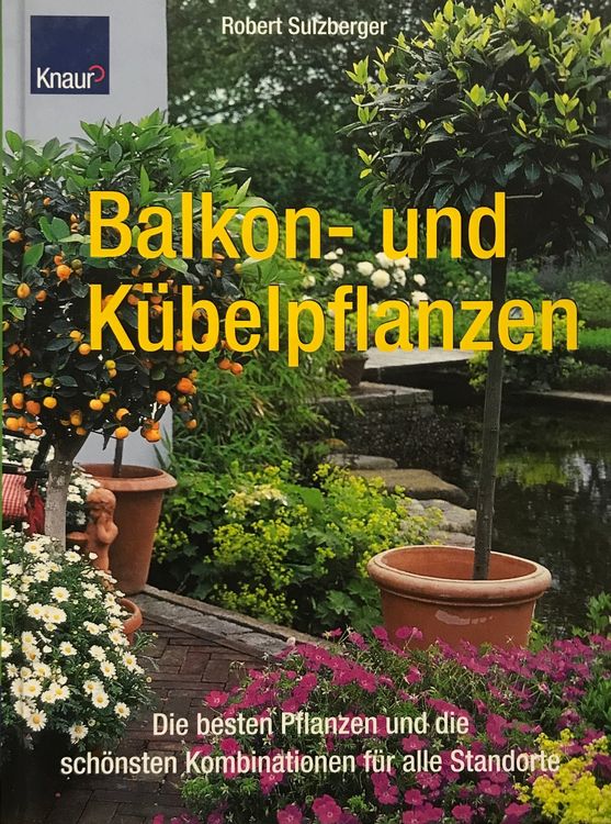 Produktbild von Zuckerrohr, Gemüsepflanzen Steingartenpflanzen Winterhart Für Sonnige Plätze Obstgarten Balkongarten Wintergemüse 120Samen