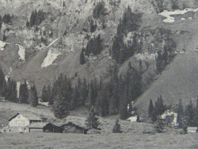 Cartoline postali: GERSCHNIALP MIT TRÜBSEE BITZISTOCK AK ONW – Usato da Ettingen venduto da Hausi4711 1