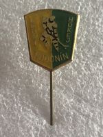 Pin Eishockey Ledni Hodonin Ice Hockey Team