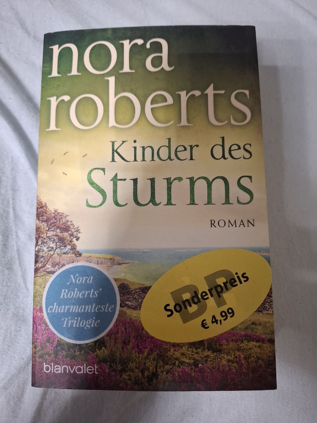 Libri: Kinder des Sturms. Nora Roberts – Usato da Urtenen-Schönbühl venduto da nerdgirl