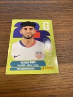 Panini Usa 18