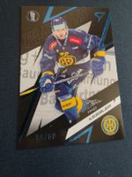 sportzoo T. Kessler base blue/60 HC Davos