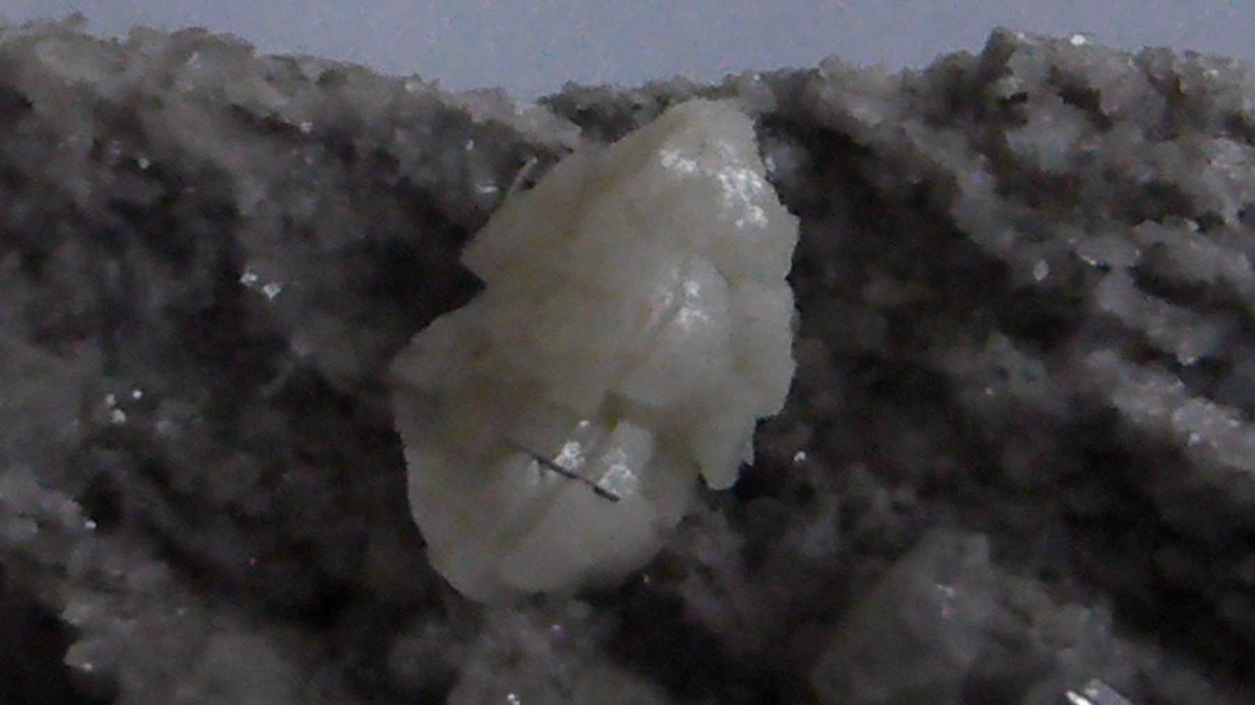 Mineralien & Heilsteine: Kristallstufe: Ankerit, Rutil, Adular bergfrisch! – Gebraucht aus Triengen von Nussbaum14 5