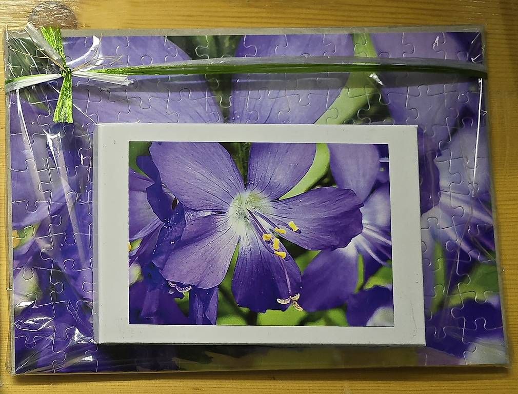 Puzzle: Puzzle 120 Teile NEU – Usato da Chur venduto da Frei3912