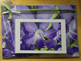 Puzzle 120 Teile NEU