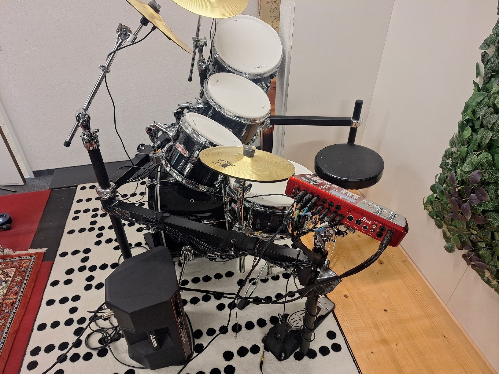 Strumenti musicali: Pearl Pro E-Schlagzeug + Alesis AMP 8 – Usato da Grüt (Gossau ZH) venduto da wisdomio7 1