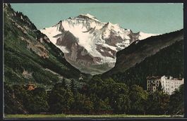 AK Interlaken, Blick zur Jungfrau, 1905