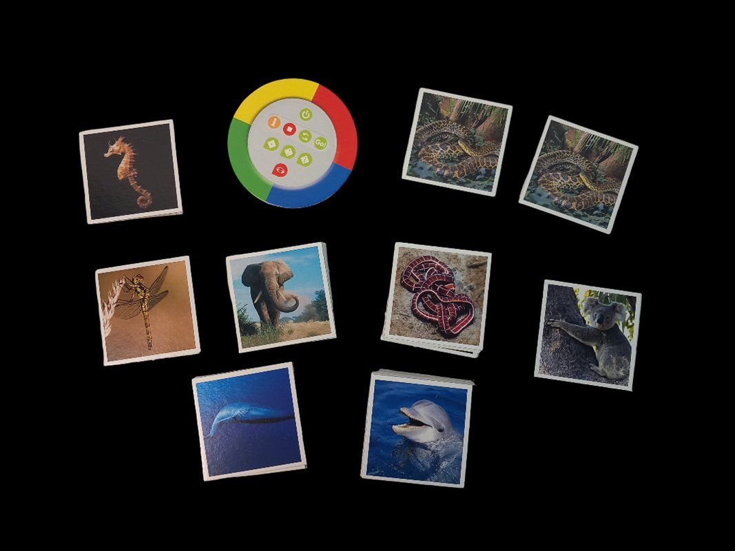 Tiptoi Giochi: RAVENSBURGER TIPTOI Memory Rekorde im Tierreich – Usato da Hünenberg venduto da Restwert_Zug 5