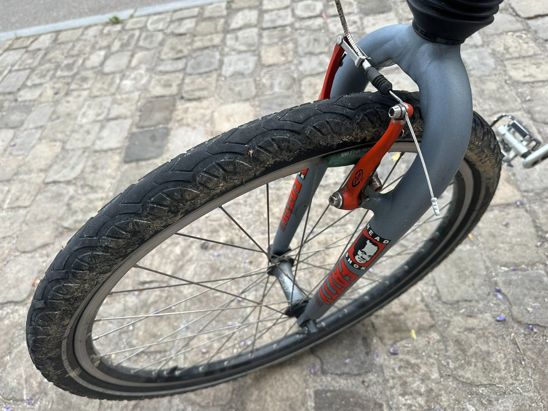 Cannondale Vélos: Cannondale Super V 1000 – D'occasion à Meilen par Rebez 1
