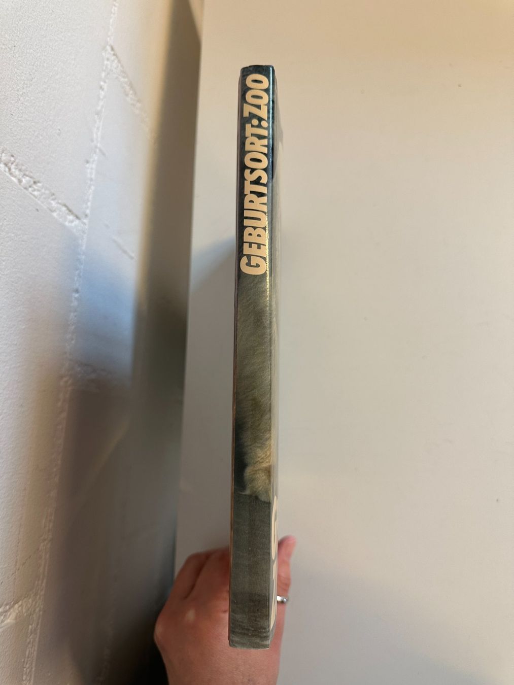 Libri: Buch "Geburtsort Zoo" Silvabuch – Usato da Urdorf venduto da Erika666 3