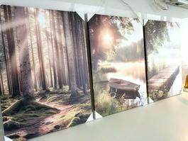 TRILOGIE Natur 105x50 cm! NEU 🔆 3 Wandbilder